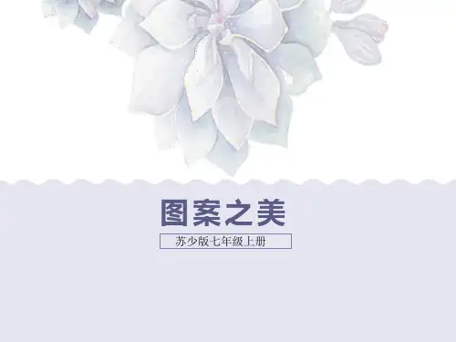 第7课 图案之美 课件 2022—2023学年苏少版初中美术七年级上册