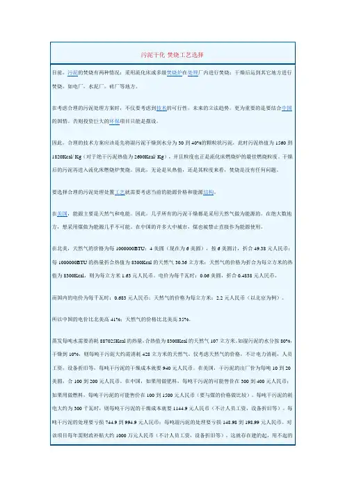污泥干化-焚烧工艺选择 09年3月25