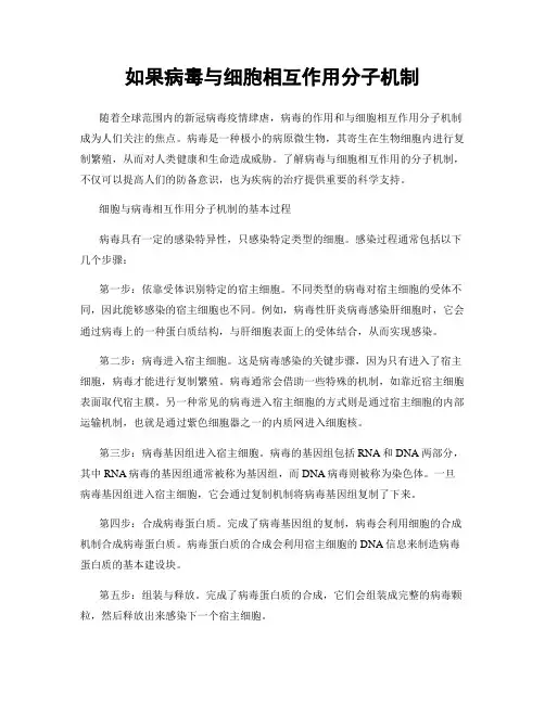 如果病毒与细胞相互作用分子机制
