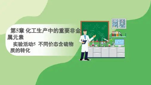 人教版高中化学必修二课件 第5章 实验活动5 不同价态含硫物质的转化(课件)