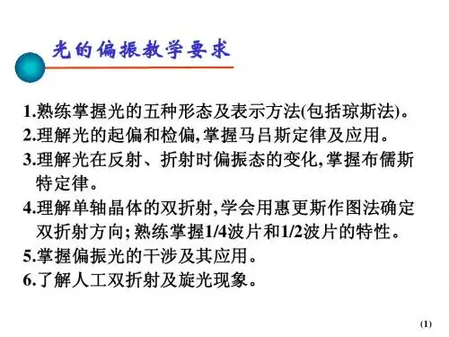 光的偏振独立作业