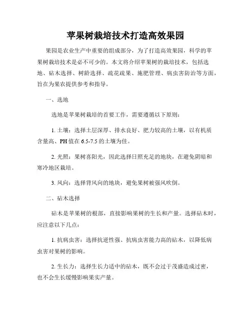 苹果树栽培技术打造高效果园