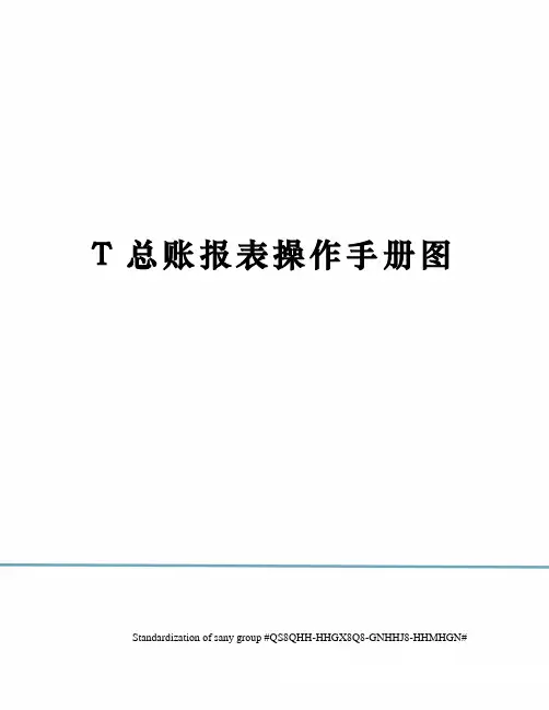 T总账报表操作手册图