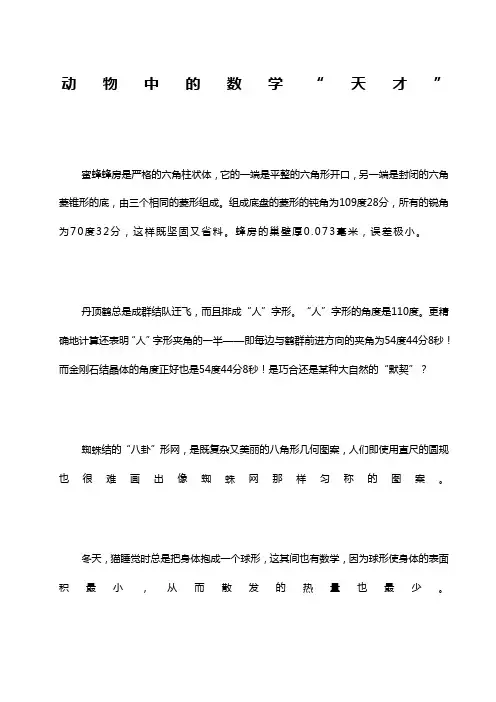 植物动物中的数学天才