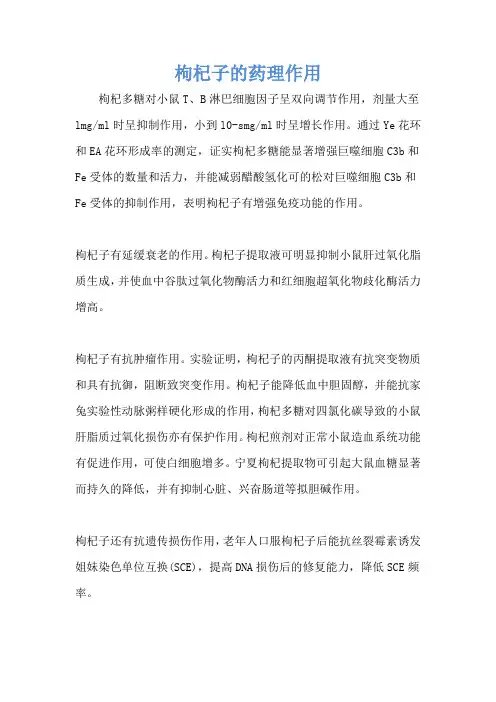 枸杞子的药理作用
