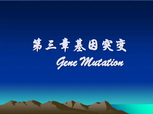 分子生物学第3章基因突变ppt课件
