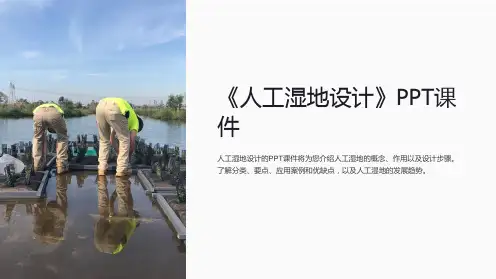 《人工湿地设计》课件
