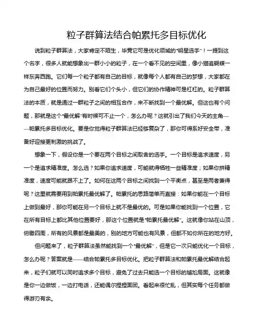 粒子群算法结合帕累托多目标优化