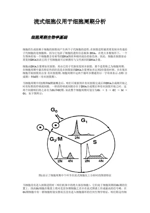 流式细胞仪用于细胞周期分析