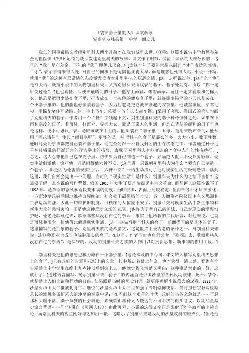 《装在套子里的人》课文解读