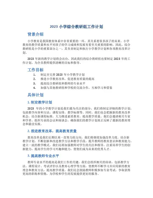 2023小学综合教研组工作计划