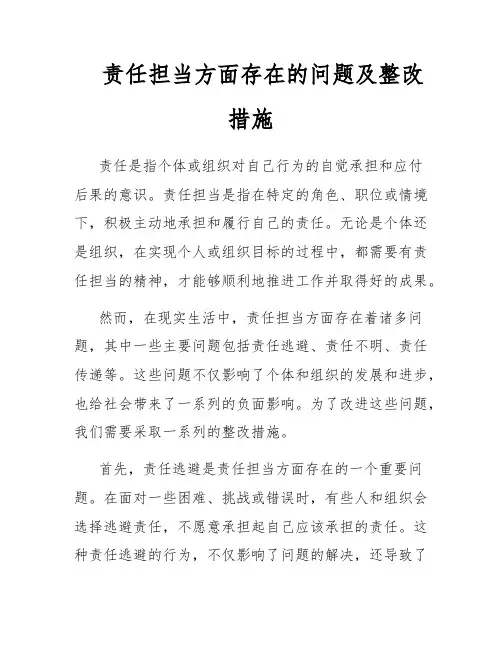 责任担当方面存在的问题及整改措施