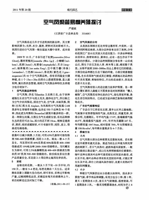 空气凤梨简易棚养殖探讨