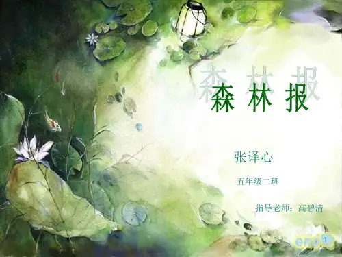 森林报_ppt课件