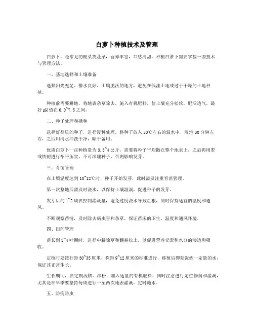白萝卜种植技术及管理