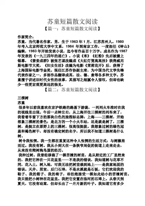 苏童短篇散文阅读