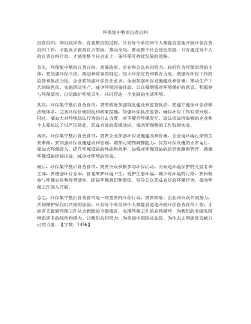 环保集中整治自查自纠
