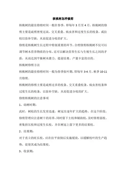 核桃树怎样修剪