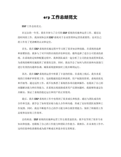 erp工作总结范文