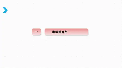 海洋公园项目规划材料ppt课件