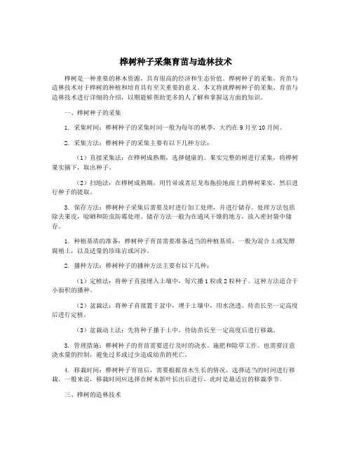 桦树种子采集育苗与造林技术