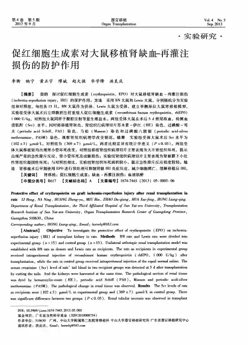 促红细胞生成素对大鼠移植肾缺血-再灌注损伤的防护作用