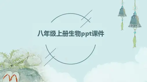 八年级上册生物ppt课件