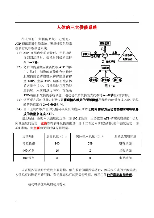 人体三大供能系统