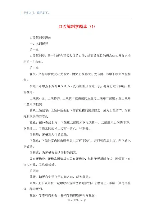 口腔解剖学题库 (1)