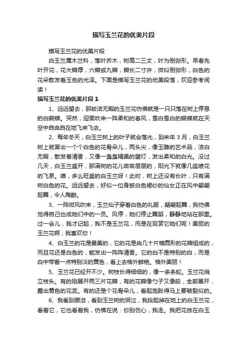 描写玉兰花的优美片段