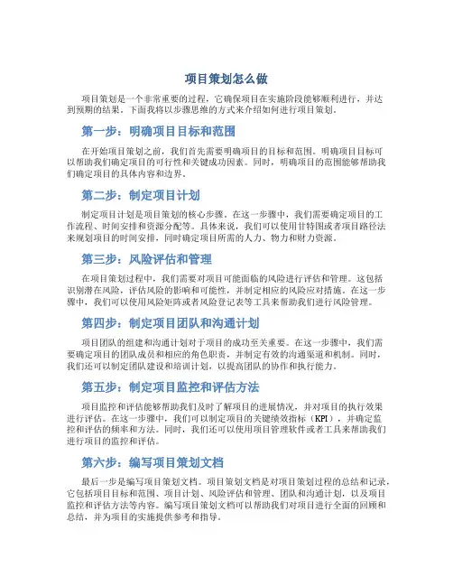 项目策划怎么做