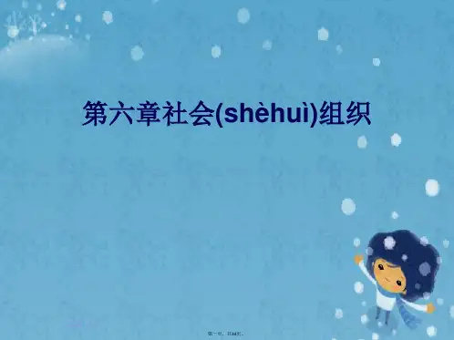 第六章社会组织