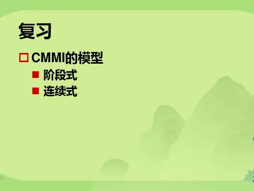 cmmi的过程域