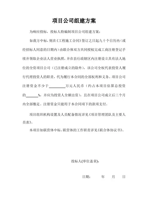 项目公司组建方案