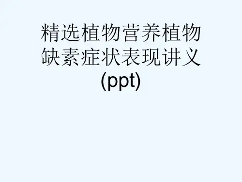 精选植物营养植物缺素症状表现讲义(ppt)