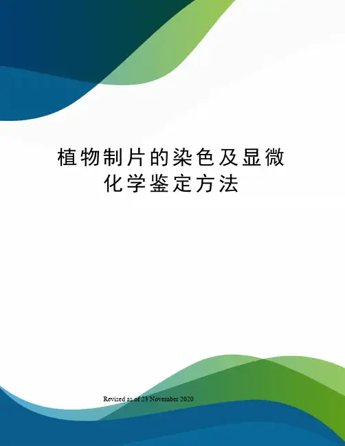 植物制片的染色及显微化学鉴定方法