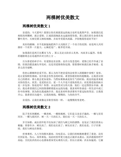 两棵树优美散文