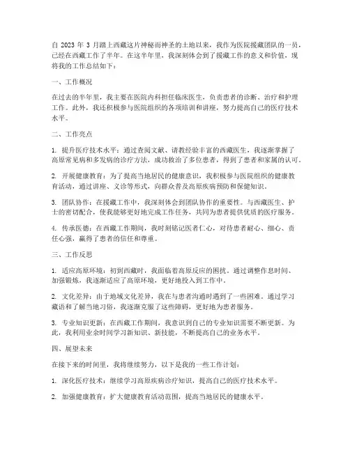 医院援藏半年总结范文