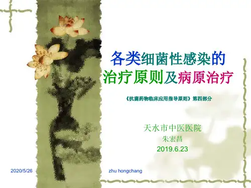 各类细菌性感染的治疗原则及病原治疗 朱鸿昌 共26页PPT资料