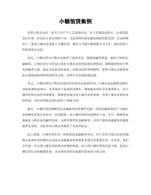 小额信贷案例