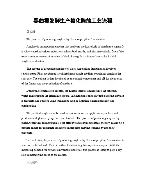 黑曲霉发酵生产糖化酶的工艺流程