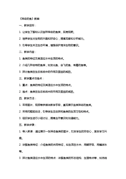 《神奇的鱼》教案