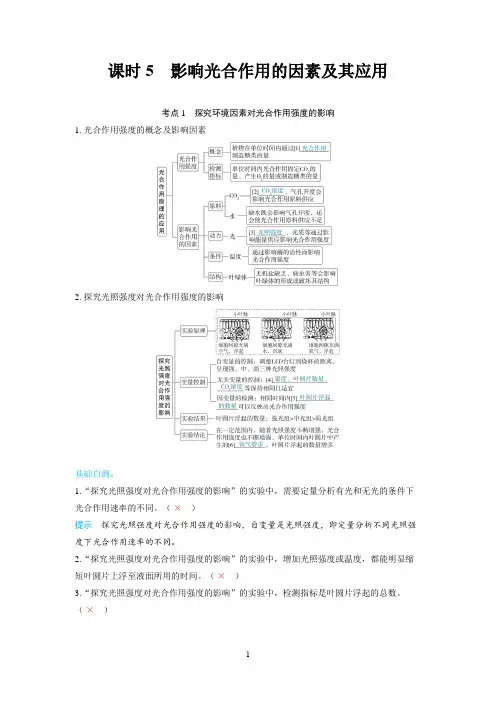 2025高考生物备考教案：课时5 影响光合作用的因素及其应用