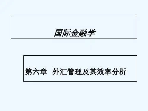 外汇管理及其效率分析
