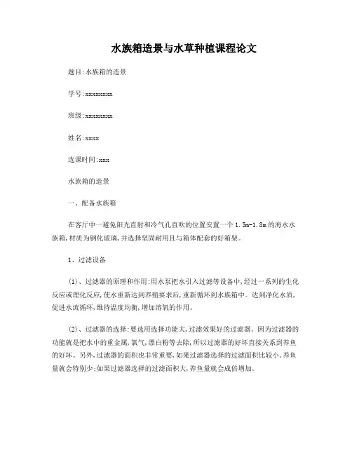 水族箱造景与水草种植