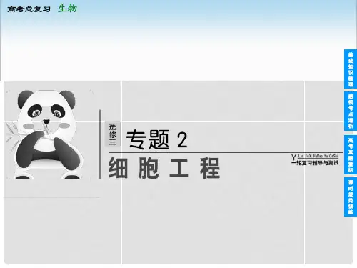 高考生物一轮复习 X32细胞工程配套课件 新人教版选修3