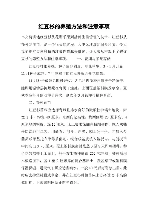 红豆杉的养殖方法和注意事项