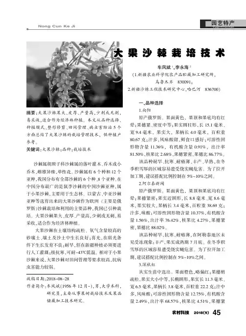 大果沙棘栽培技术