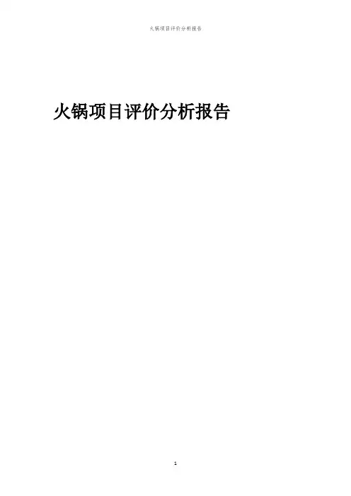 火锅项目评价分析报告