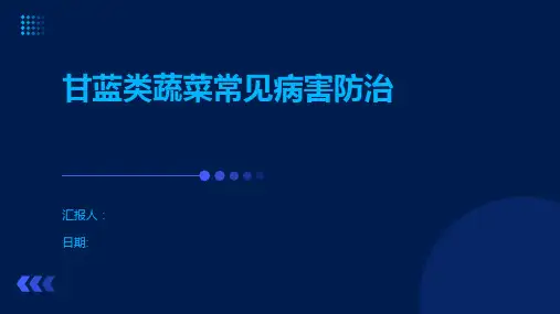 甘蓝类蔬菜常见病害防治